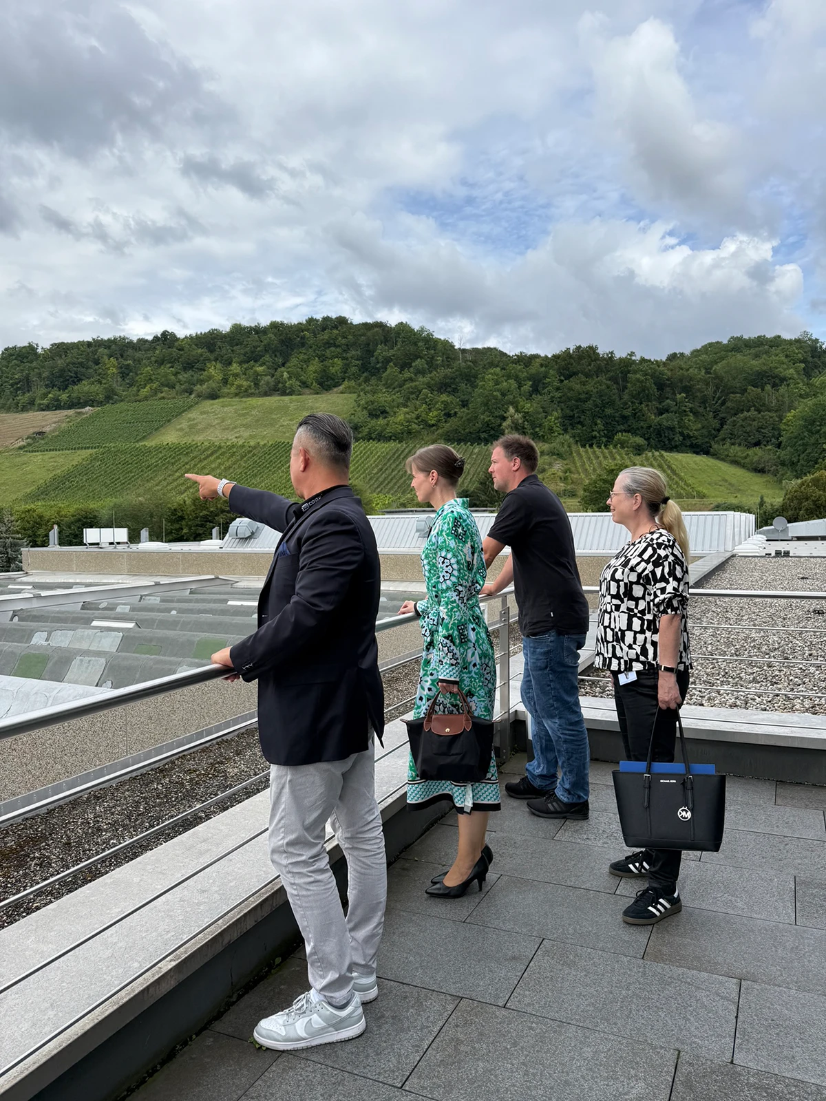 Ausblick über Forchtenbergs Weinberge